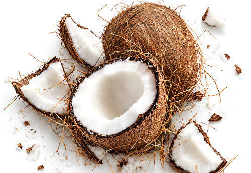 COCO-CAPRYLATE