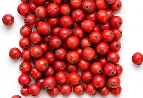 HIGH-ALTITUDE ROSEHIP