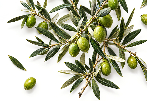 SQUALANE