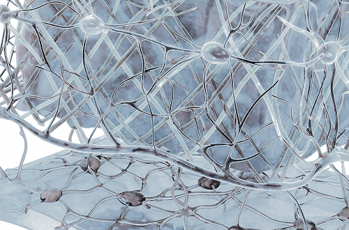 What is the lymphatic system?