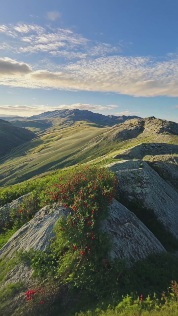GEMELLE High Altitude Rosehip Behind the Scenes Video